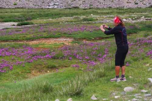 TREKKING IN LADAKH | CHANGTANG 2017